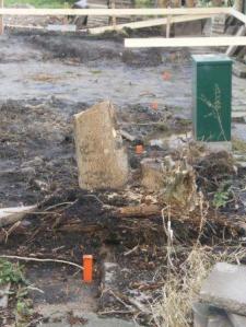 uitzetten paaltjes2. 9 dec.2011