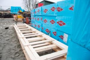 2012 -18 jan. blauwplaat 2